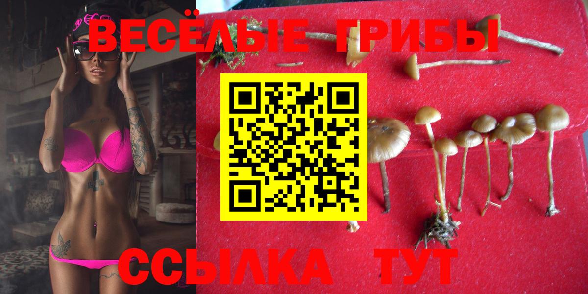 Галлюциногенные грибы Magic Shrooms  Вход с VPN  Галлюциногенные грибы MAGIC MUSHROOMS  Фролово 